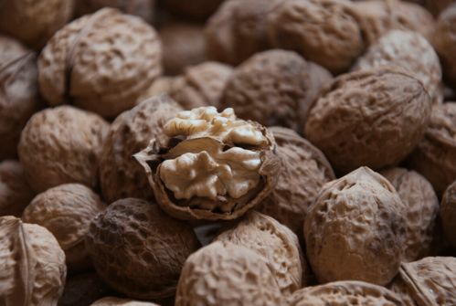 寒露養(yǎng)生正當(dāng)時(shí)，八種谷物種子助您蓄能過冬