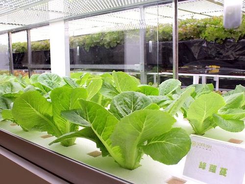 2021年LED市場(chǎng)產(chǎn)值增長(zhǎng)至165.31億美元 機(jī)遇與挑戰(zhàn)并存的產(chǎn)業(yè)前景